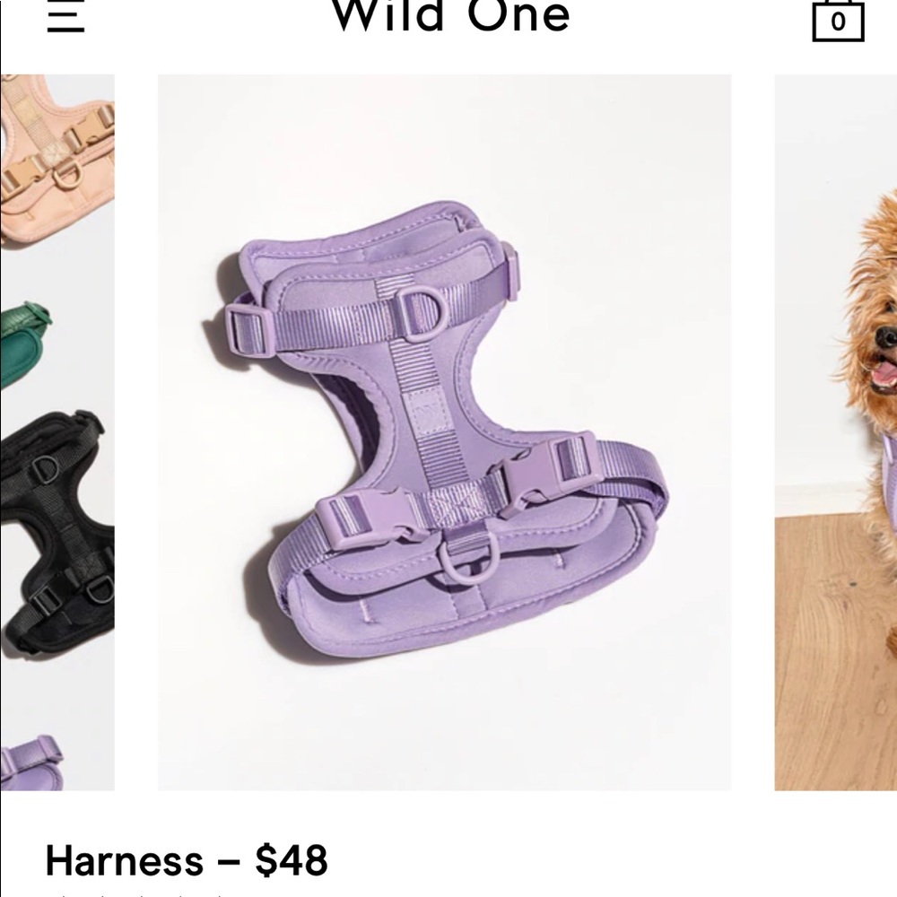 Wild one Small dog Harness - Black only!